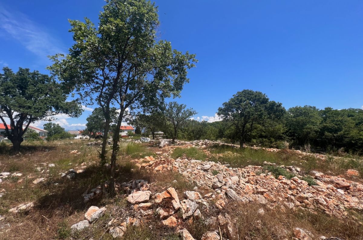 NJIVICE