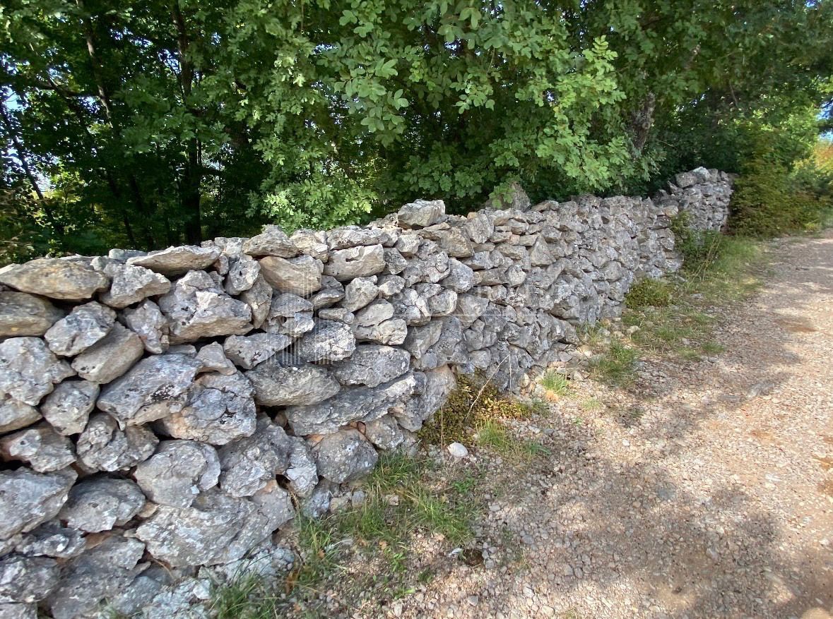 MASLENICA