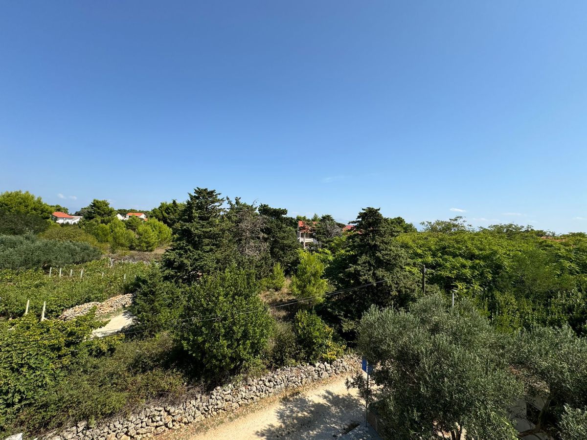 image 30