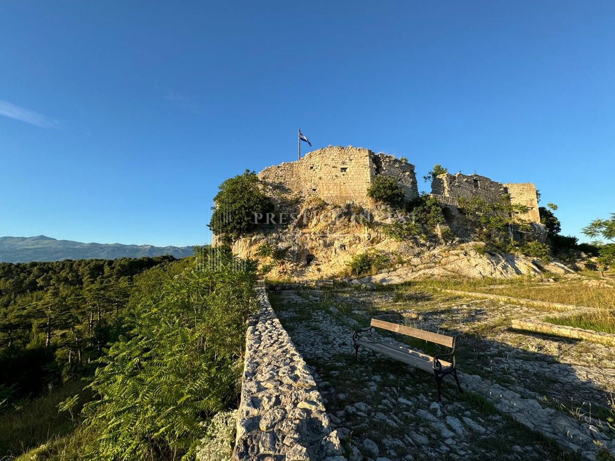 NOVIGRAD