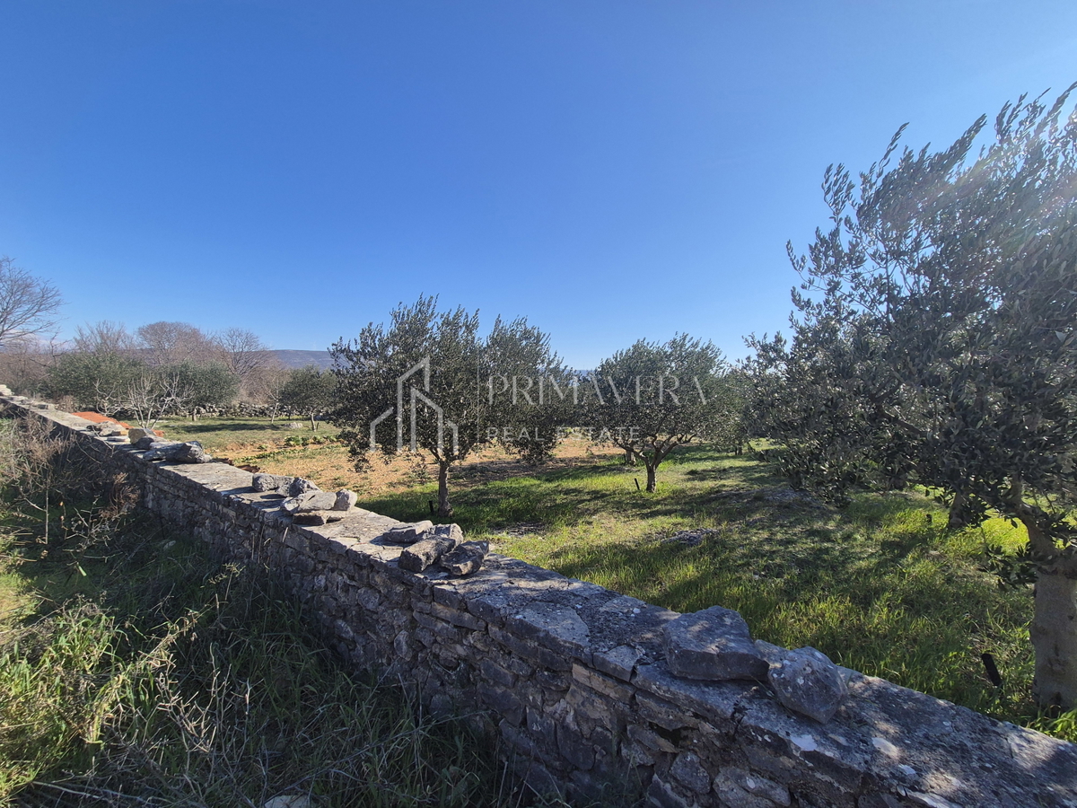 Terreno NOVIGRAD, 75.000 €