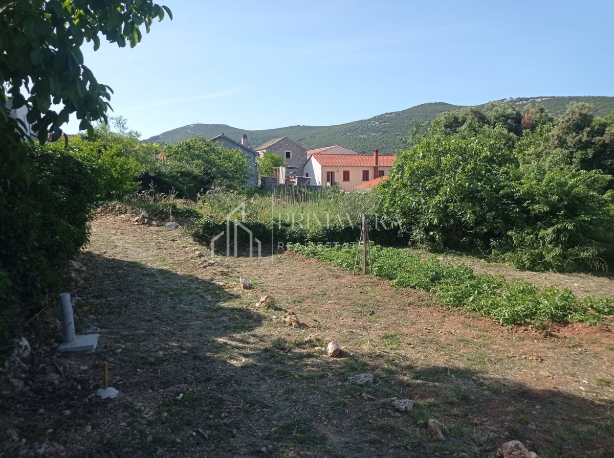 image 14