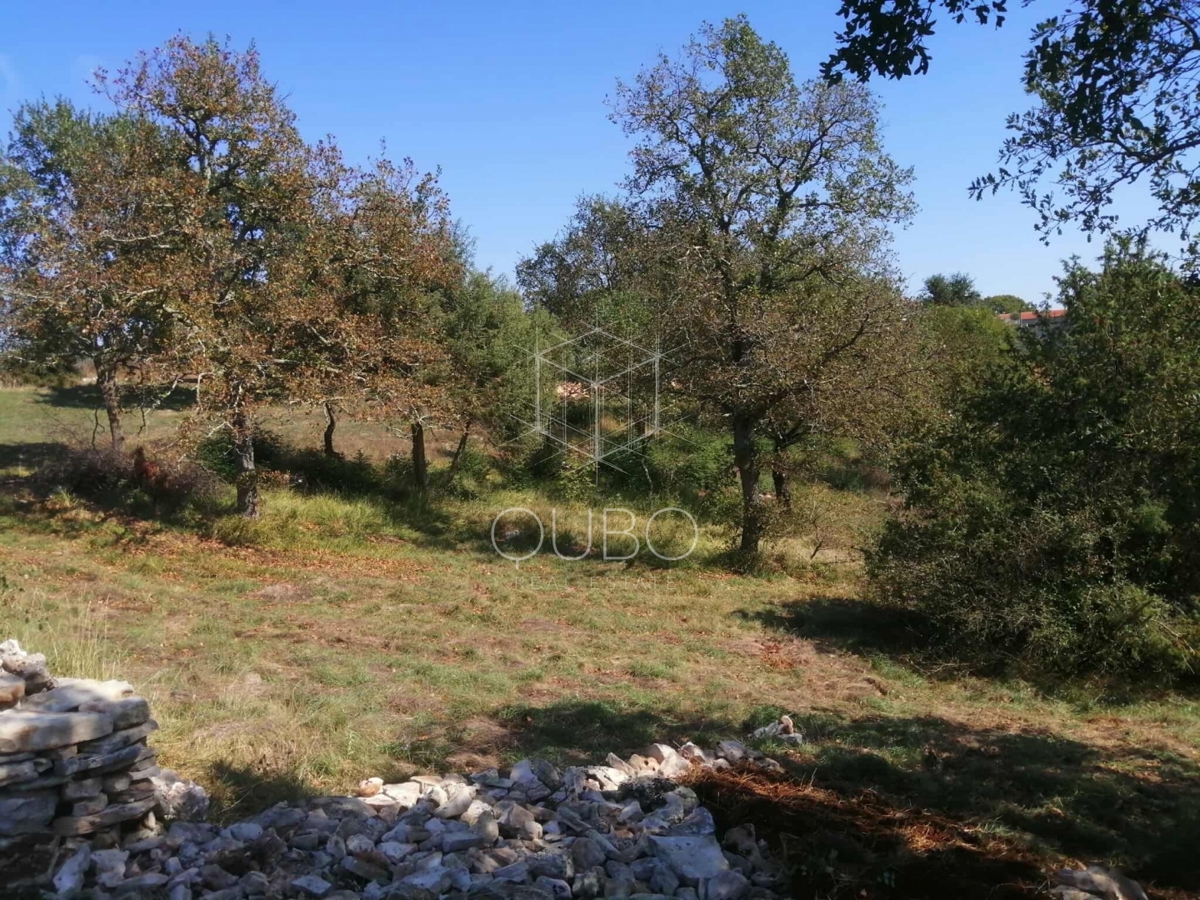 KRMED