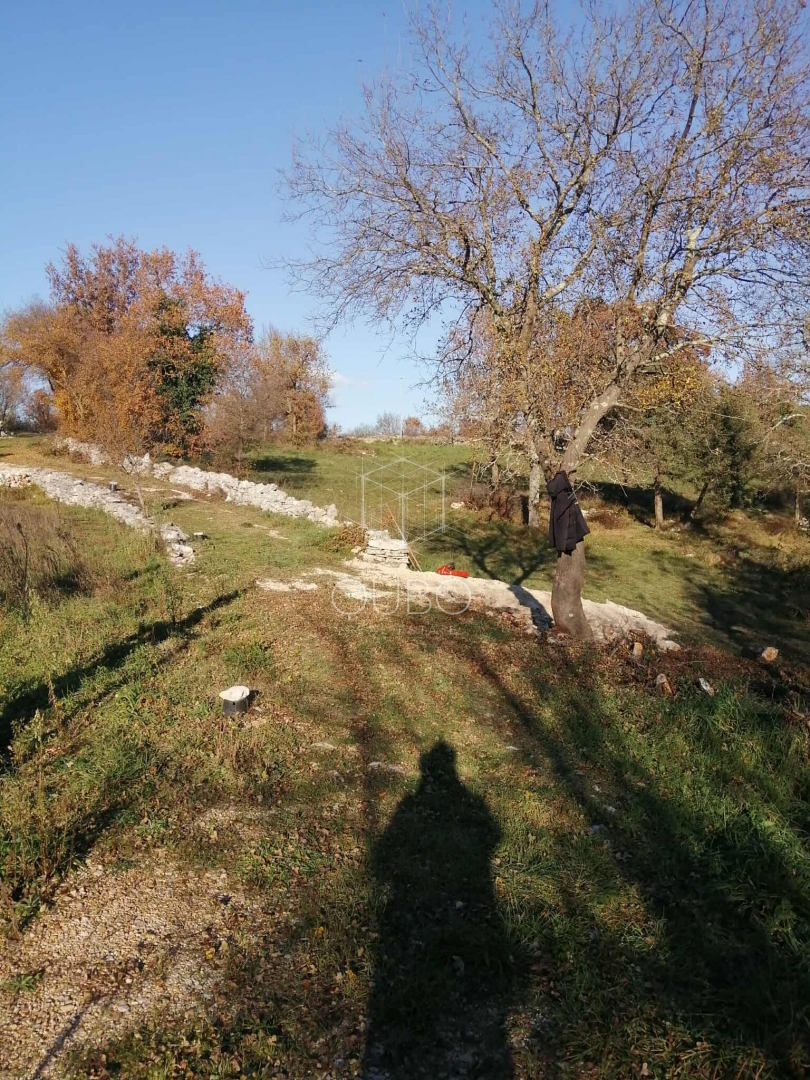 KRMED