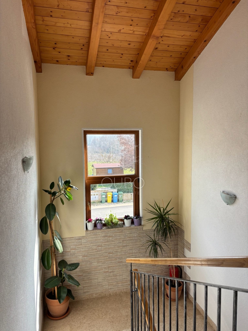 image 23