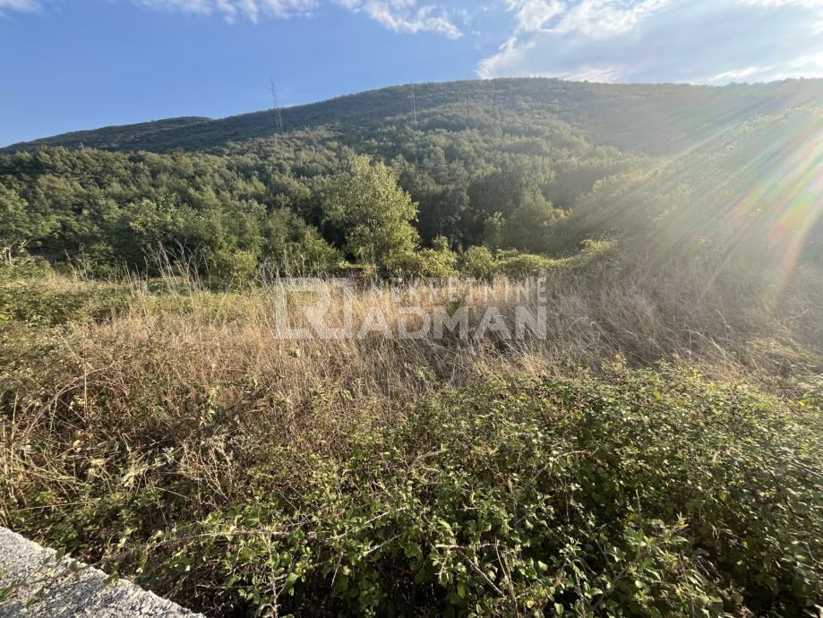 LOKVIČIĆI