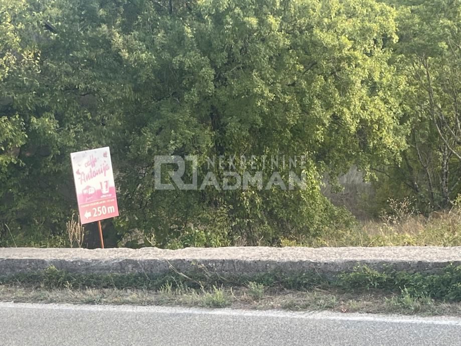 LOKVIČIĆI