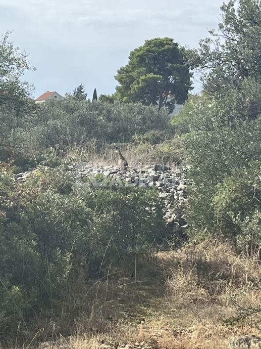 GORNJE SELO