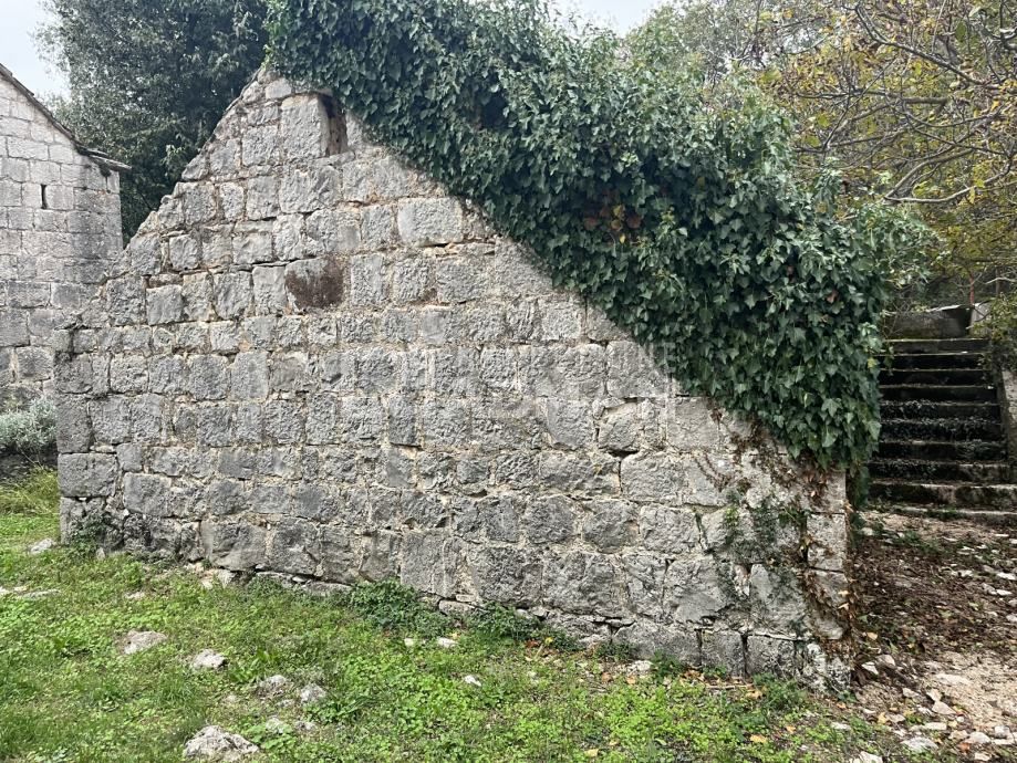 RADOŠIĆ
