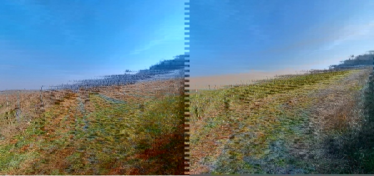 POREČ