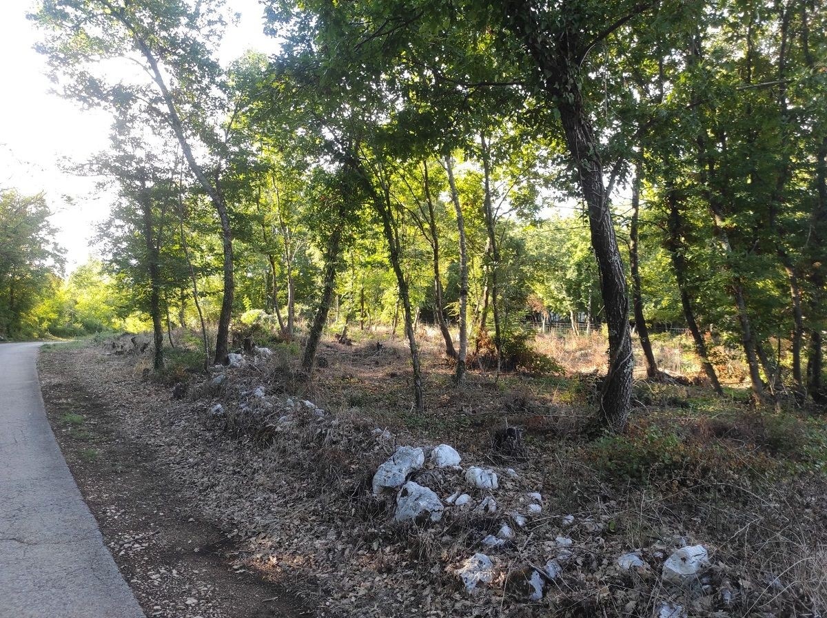 VIŠNJAN