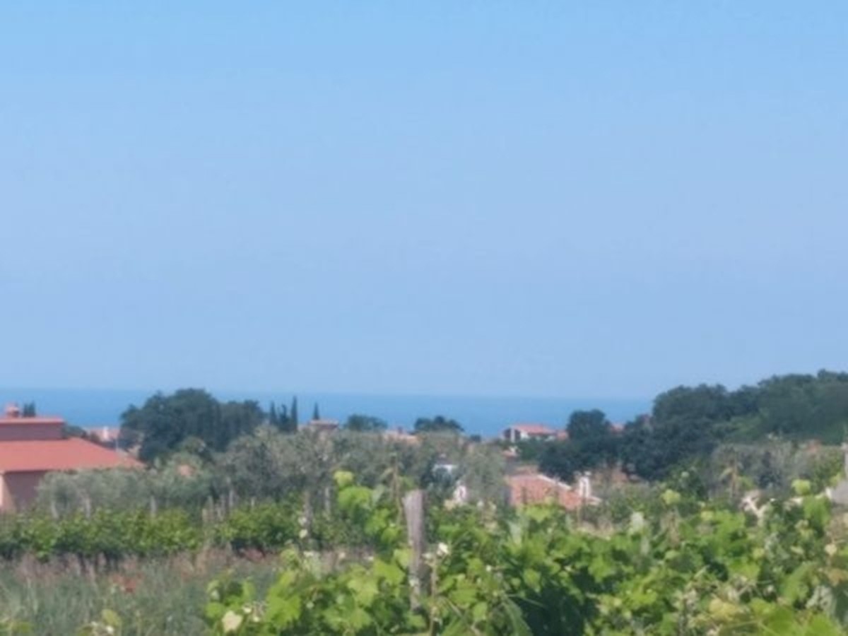 KAŠTELIR