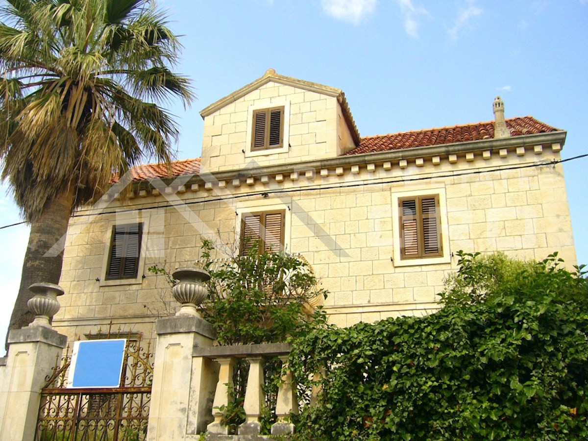 BRAČ