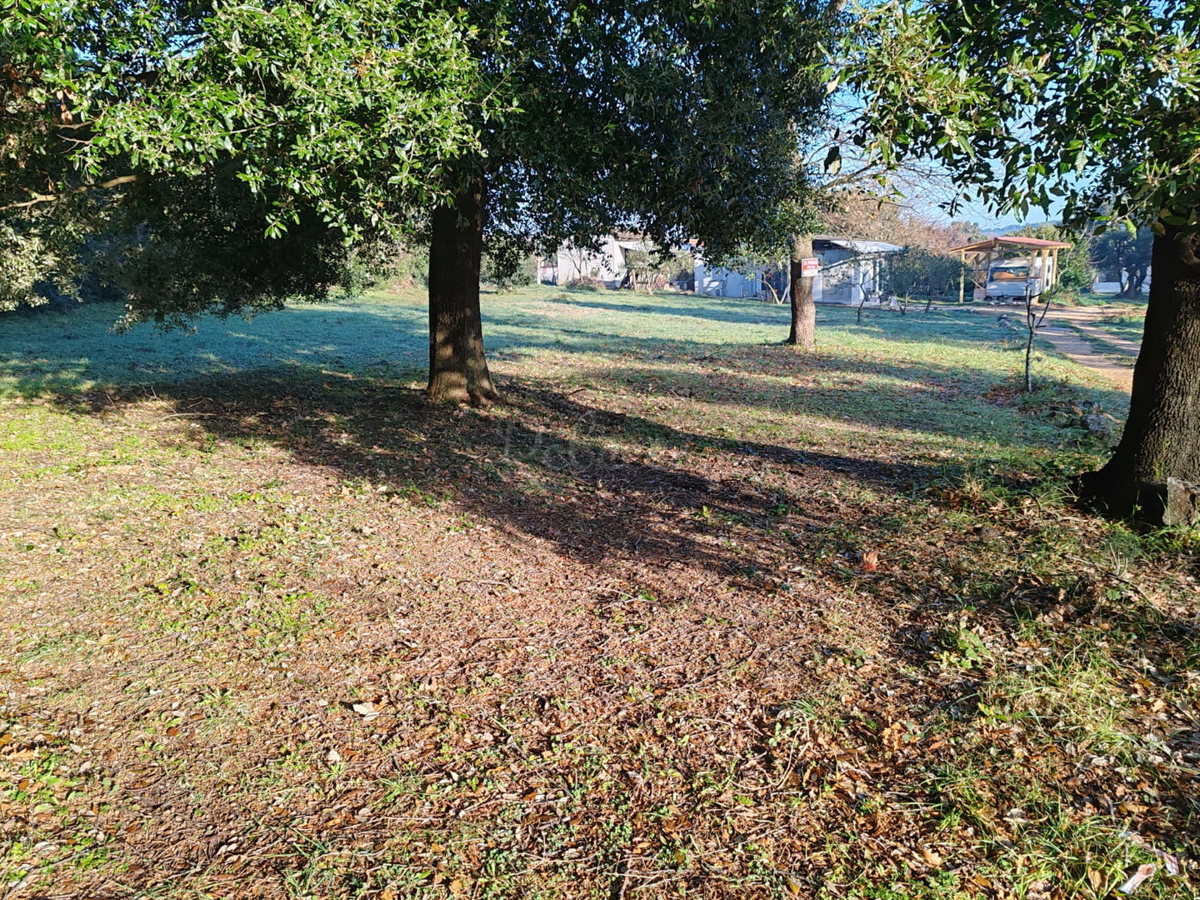 LIŽNJAN