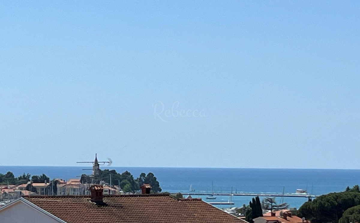 NOVIGRAD