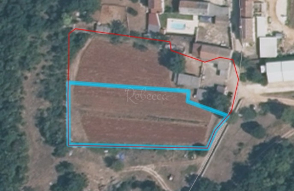 GOLAŠ
