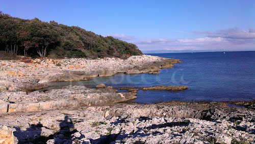 LIŽNJAN