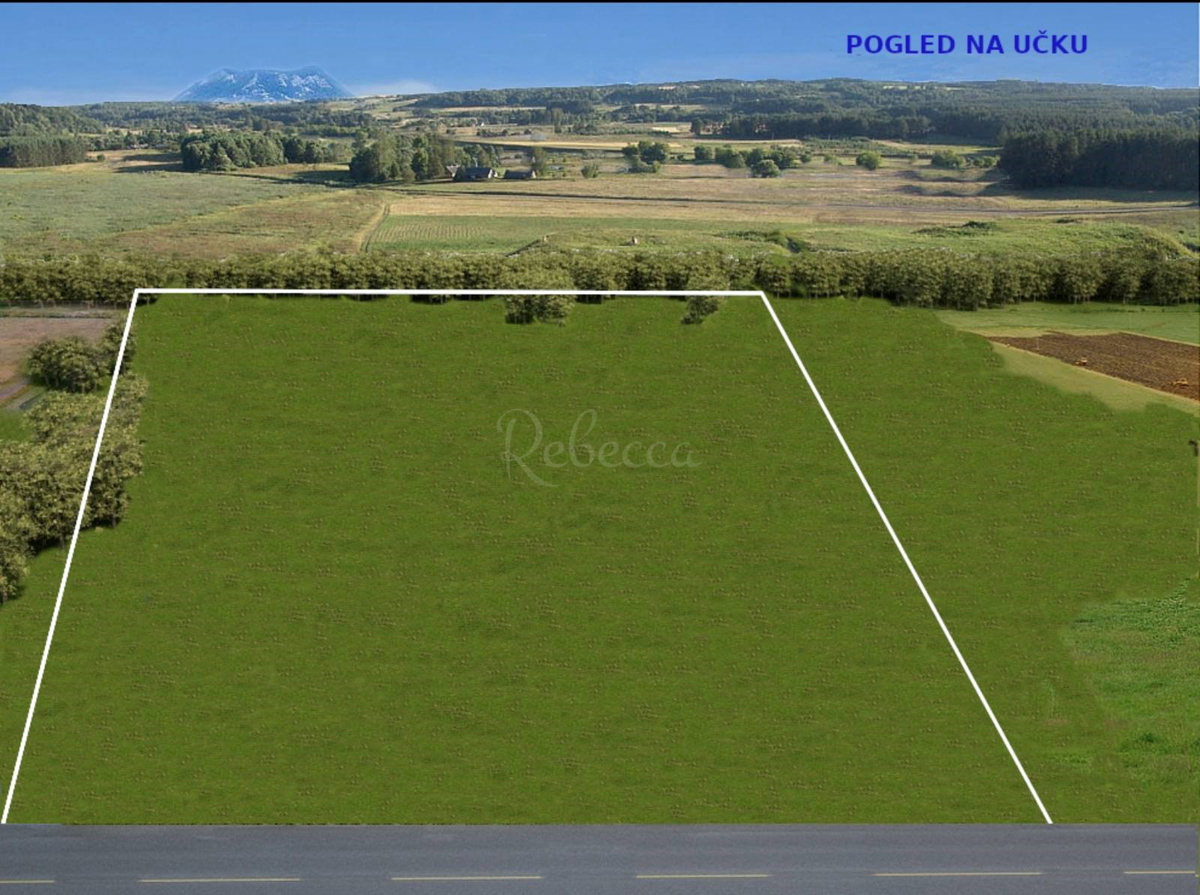 ŠTOKOVCI