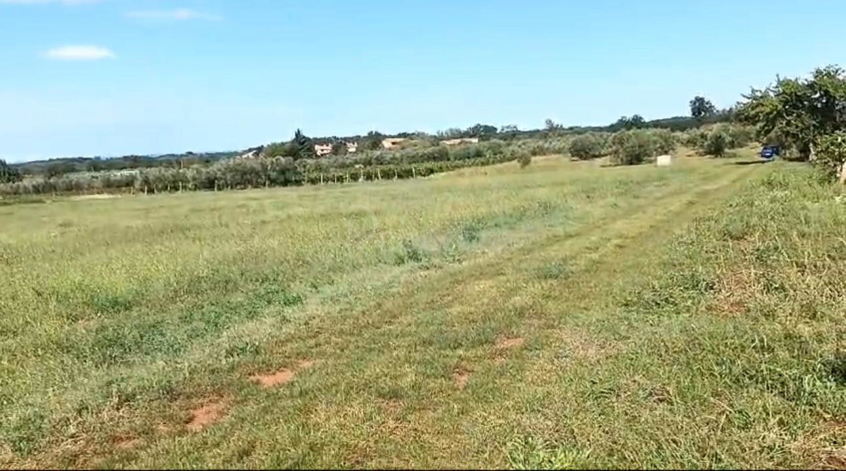 BRTONIGLA