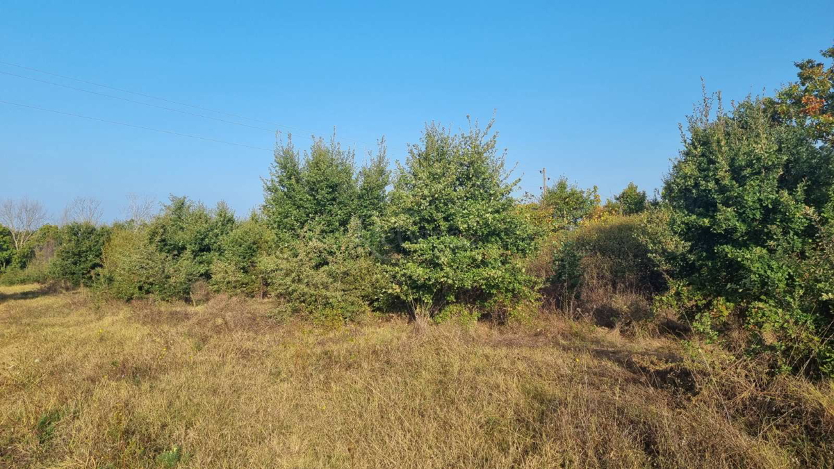 FAŽANA
