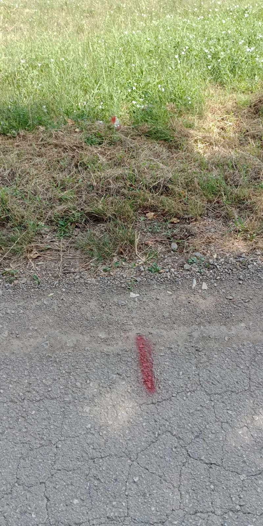 PIĆAN