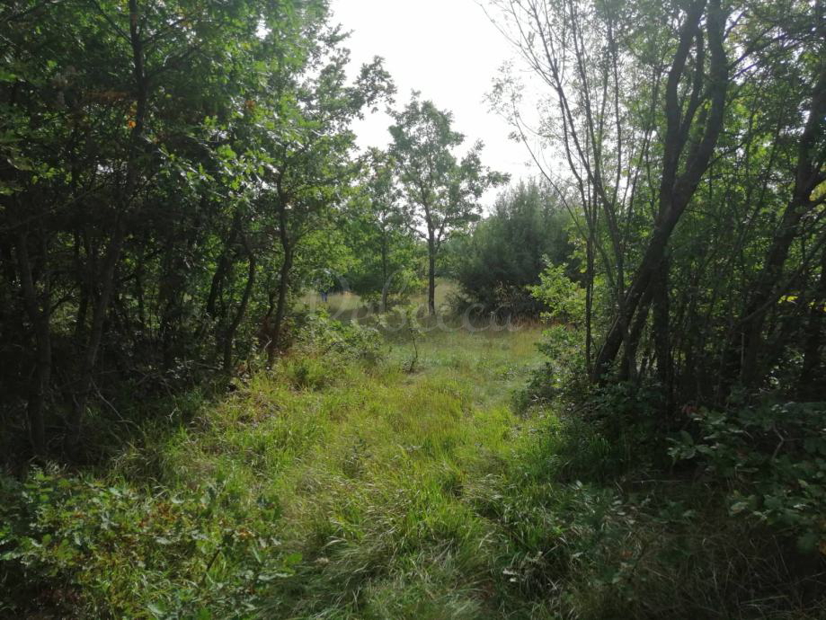MARČANA