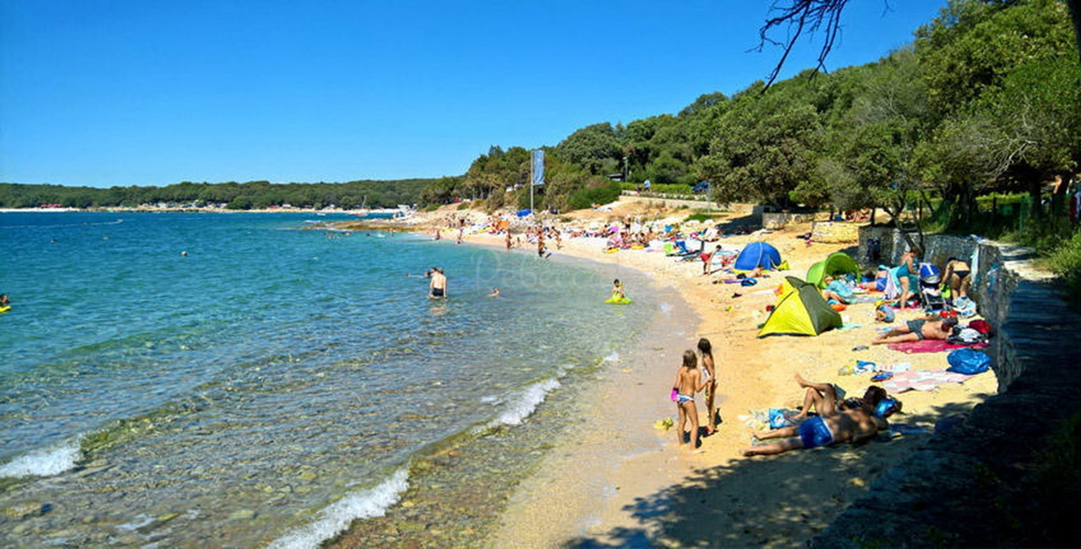 GOLAŠ