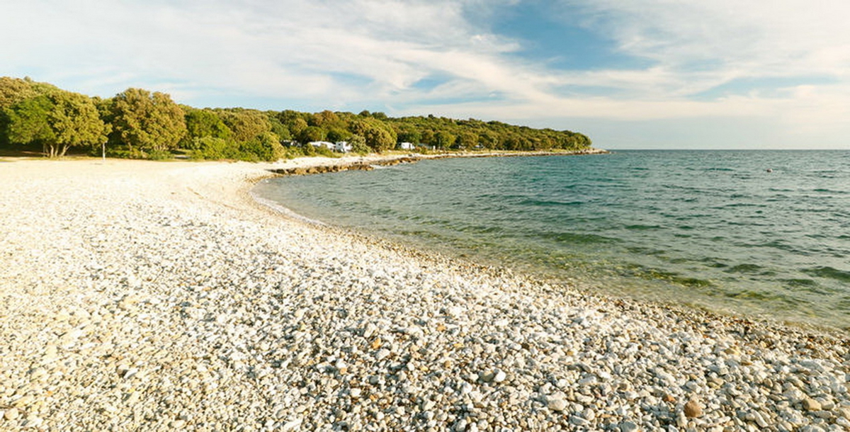 GOLAŠ