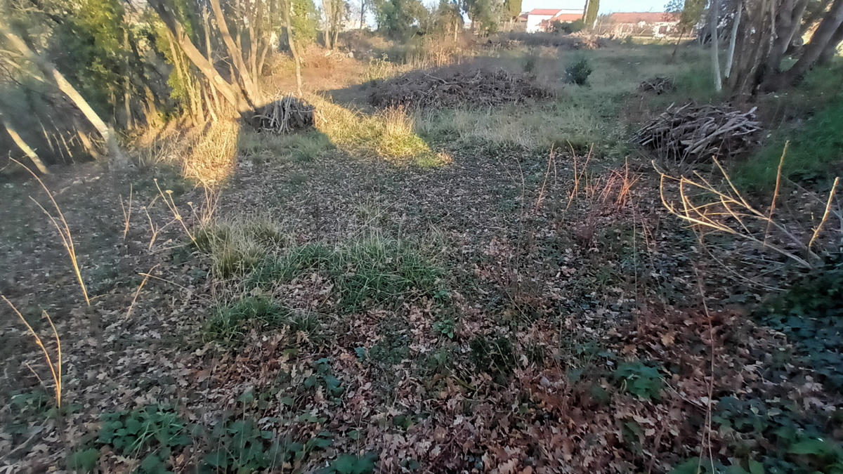 ŠEGOTIĆI