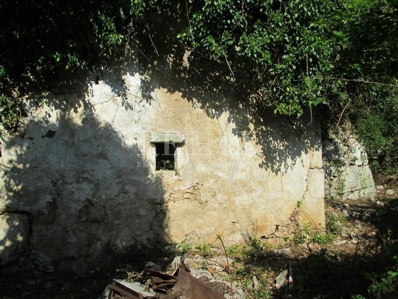 BRIBIR