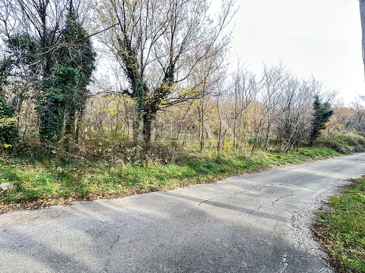 GRIŽANE