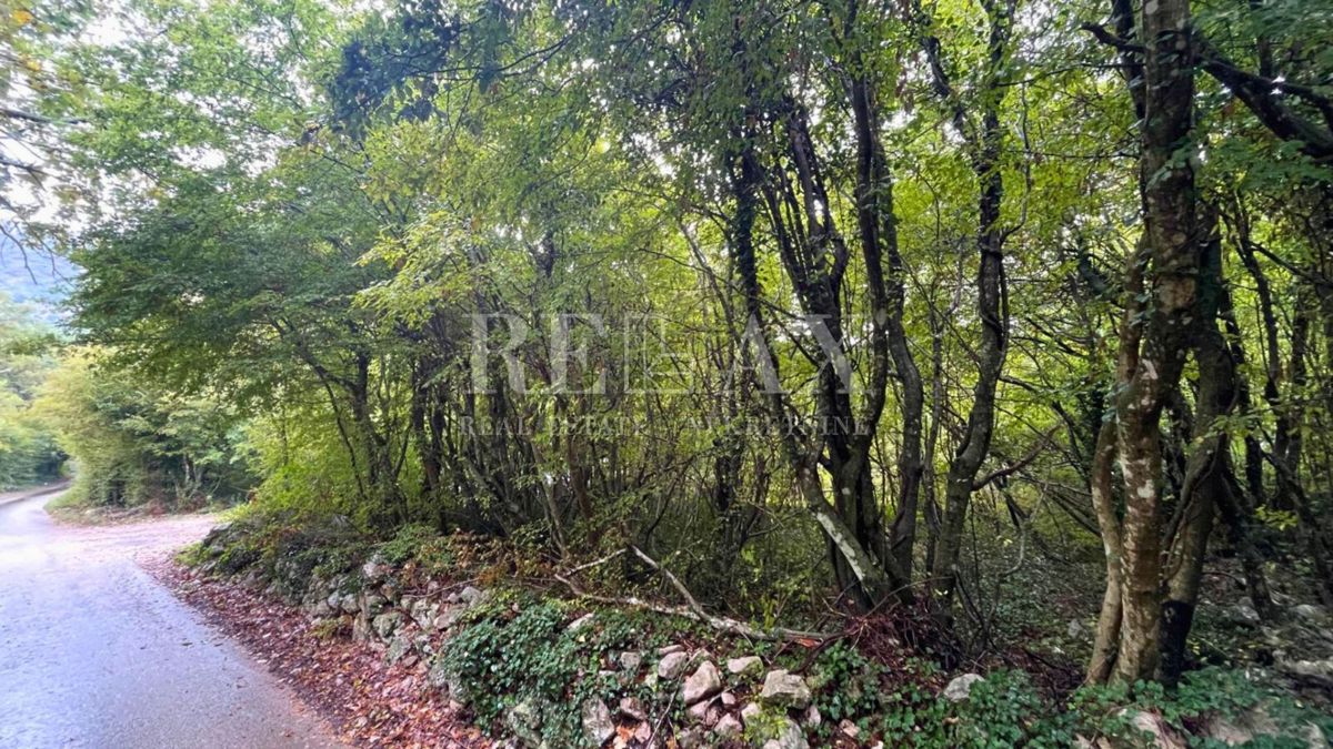 GRIŽANE