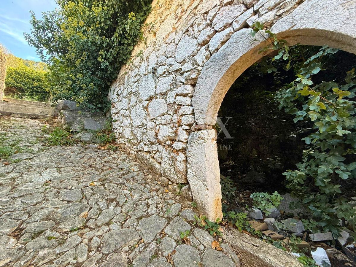 BRIBIR