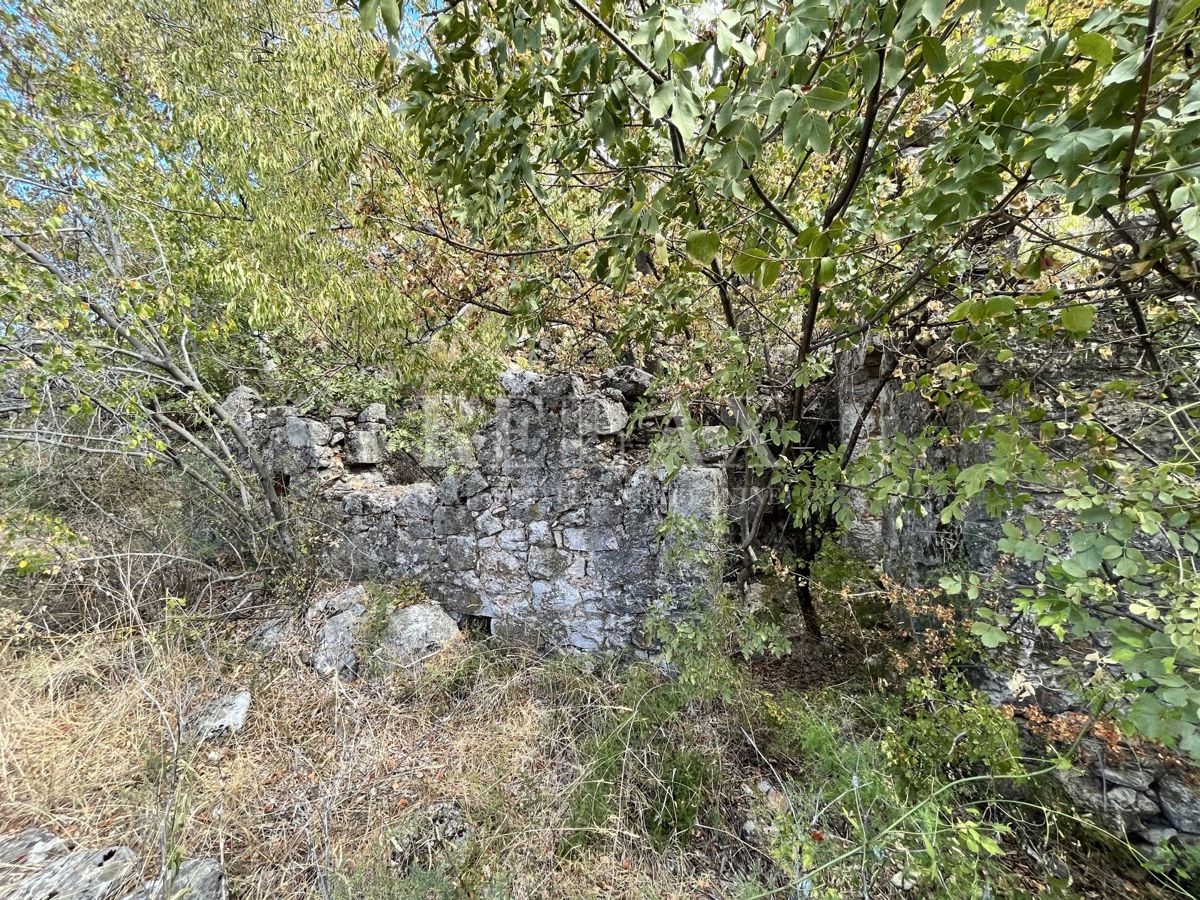 SIBINJ KRMPOTSKI