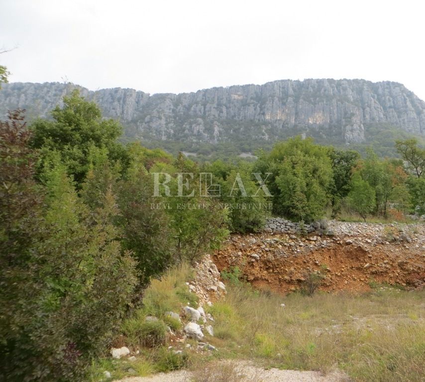 BRIBIR