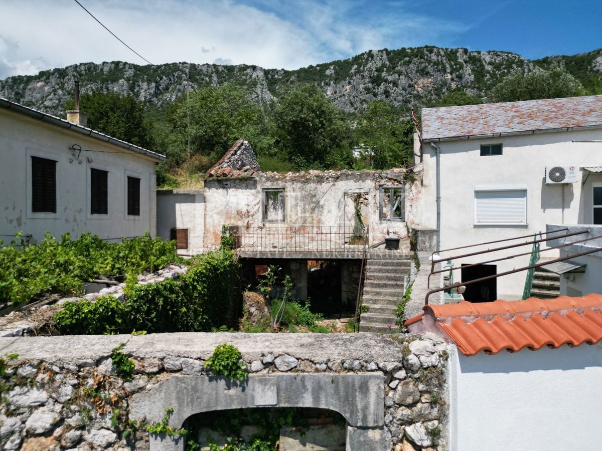 BRIBIR
