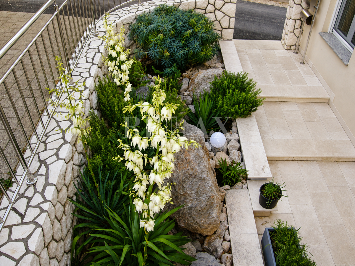 image 29