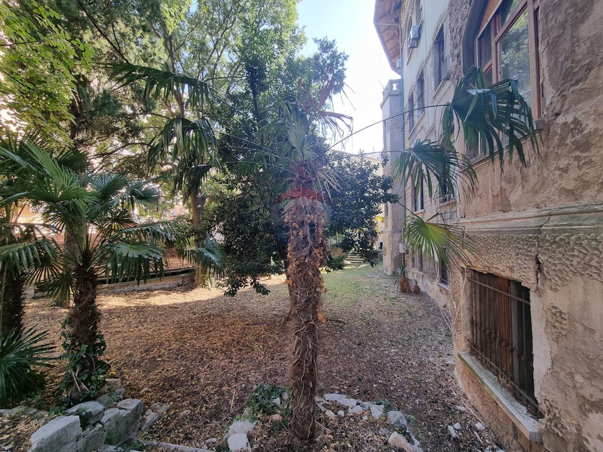 PULA
