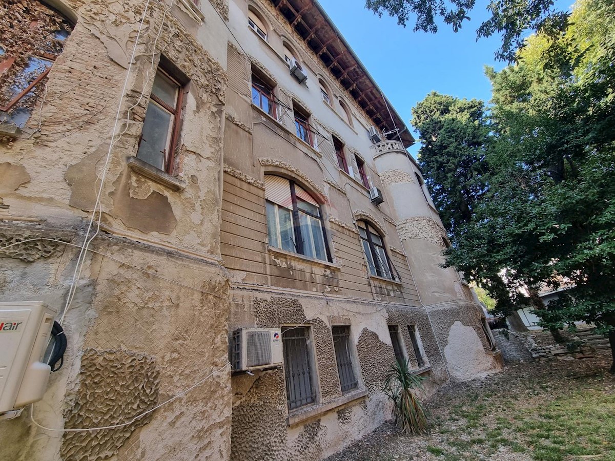 PULA