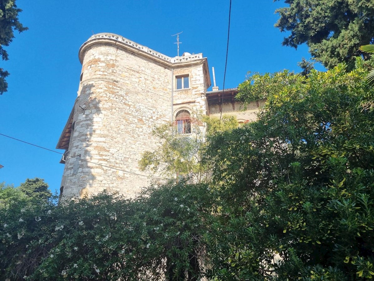 PULA