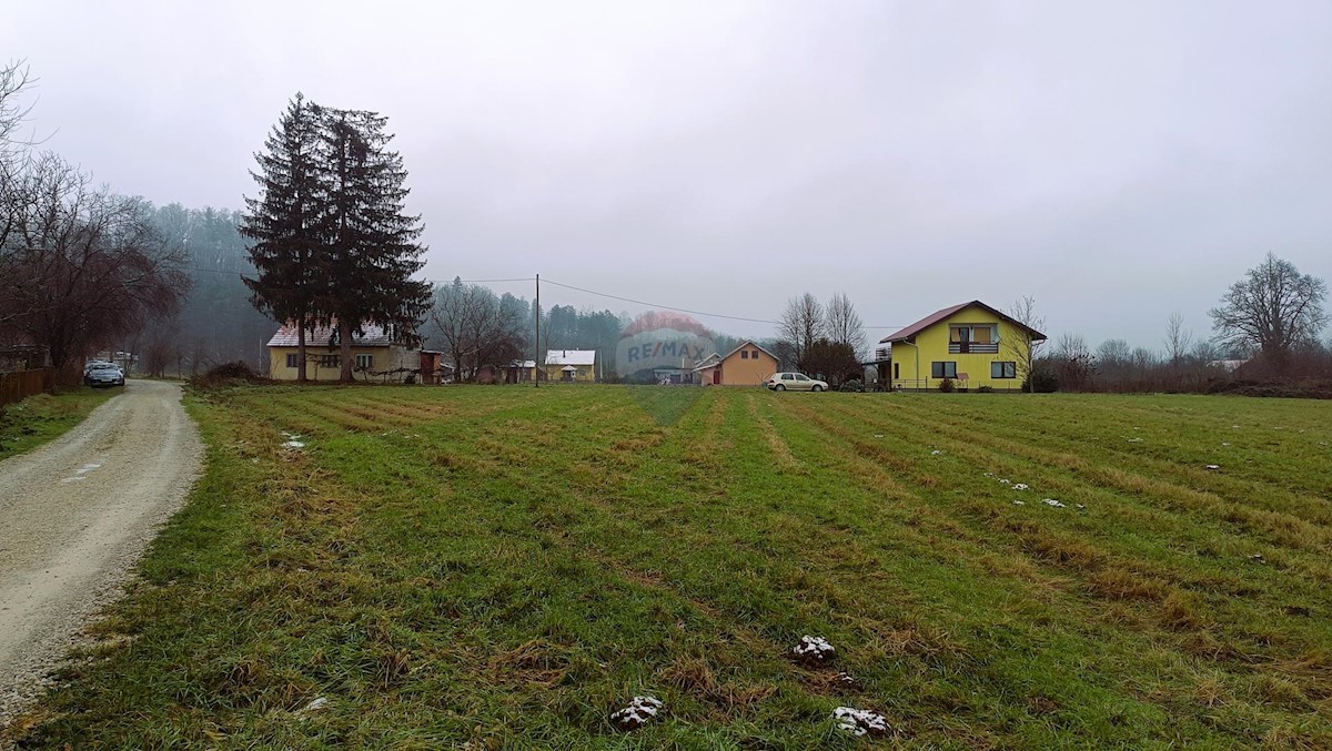 SKAKAVAC