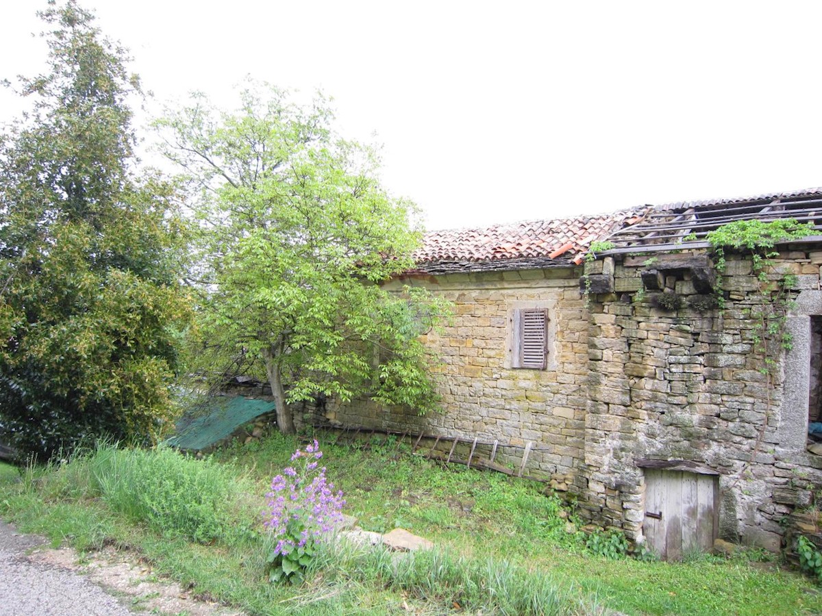 KUĆIBREG