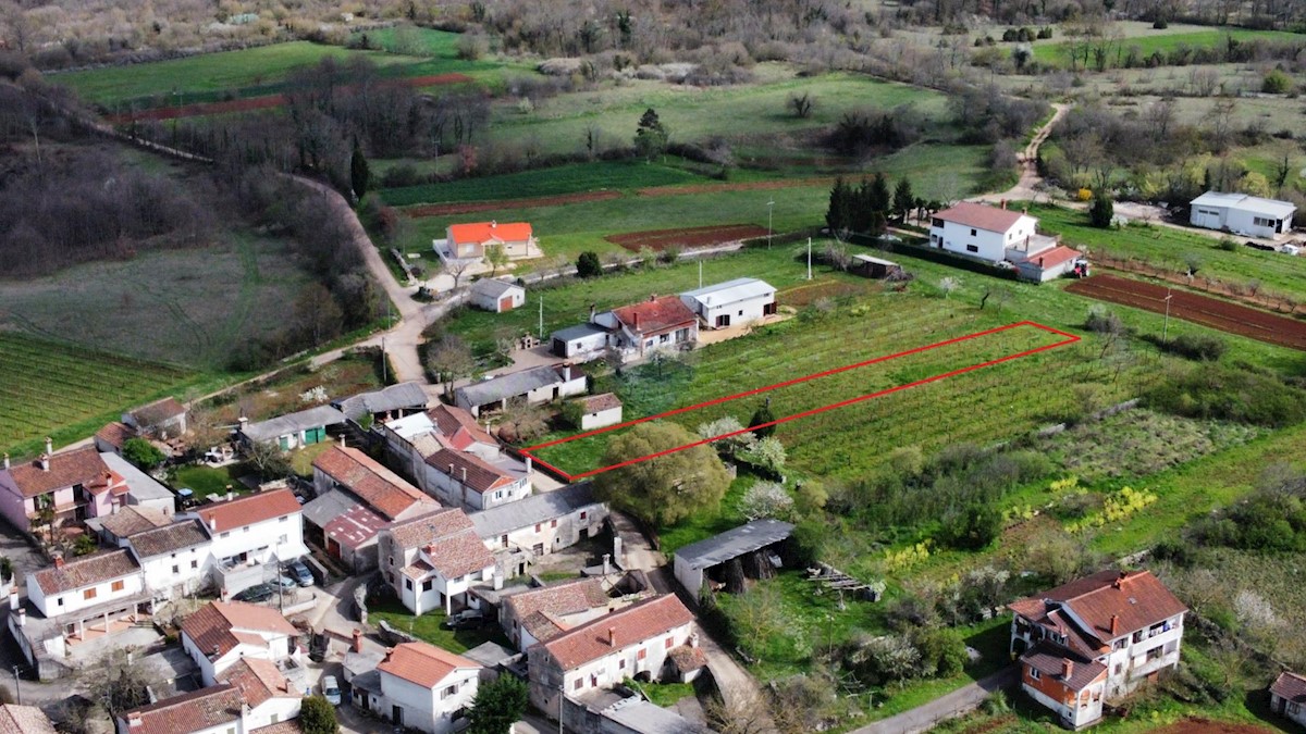 ŽMINJ