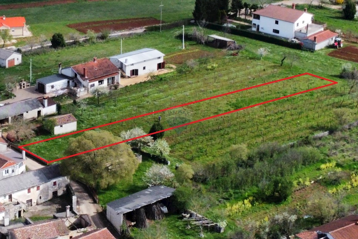 ŽMINJ