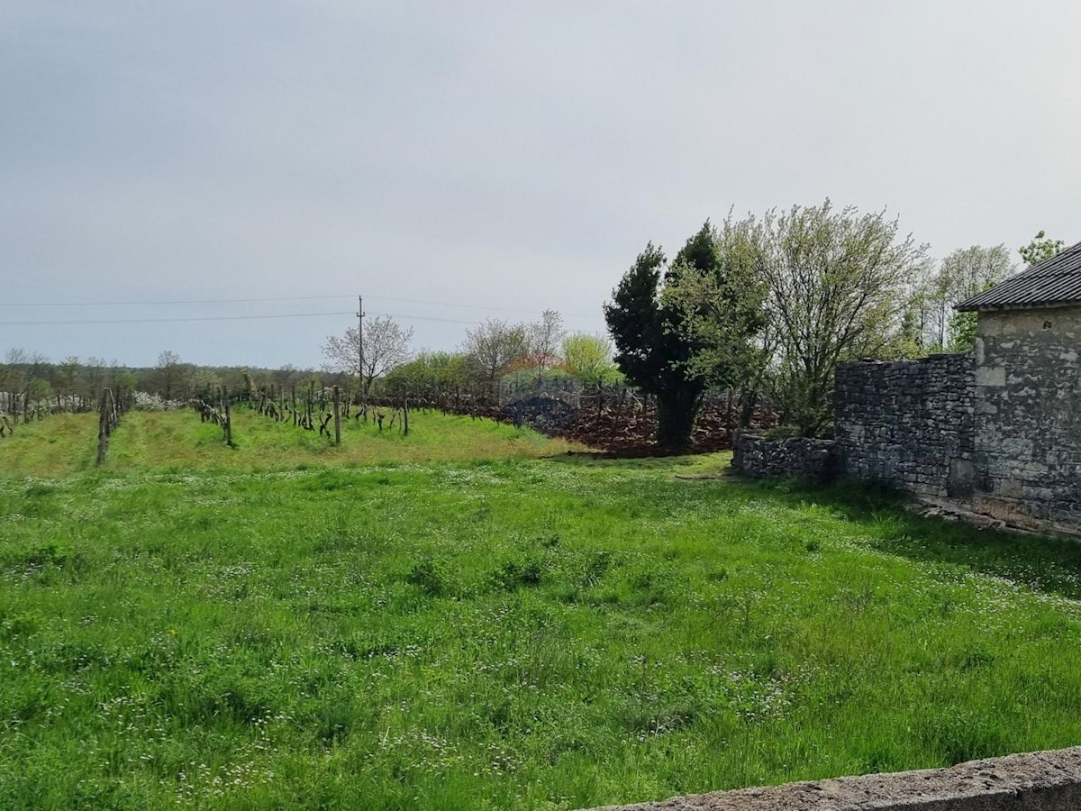 ŽMINJ