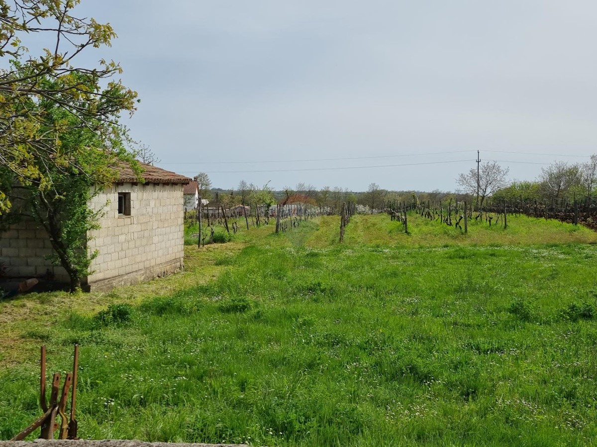ŽMINJ