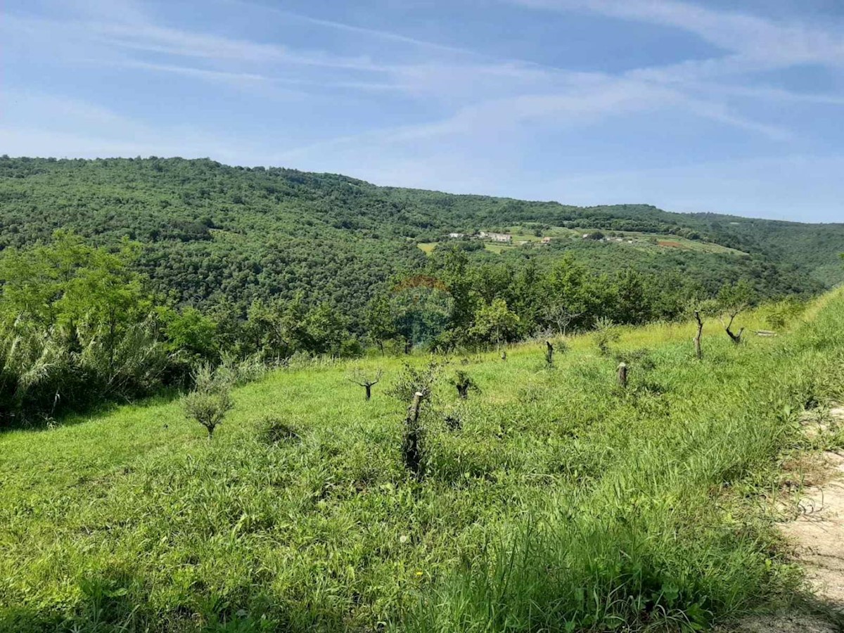 MOTOVUN