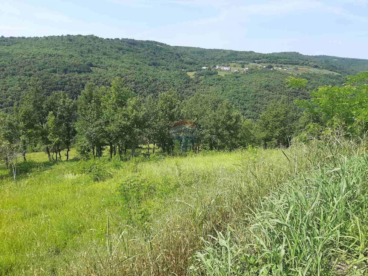 MOTOVUN