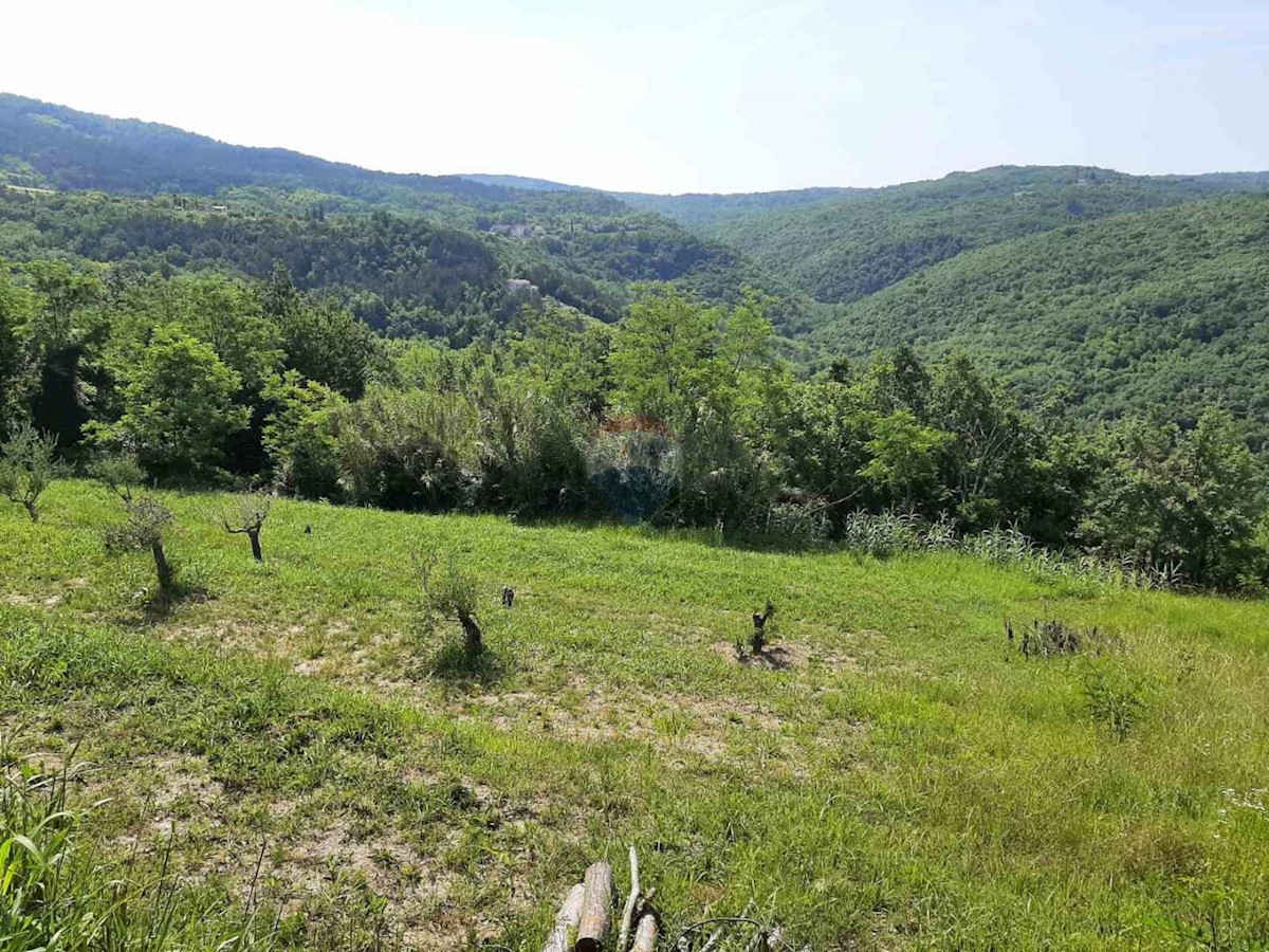 MOTOVUN