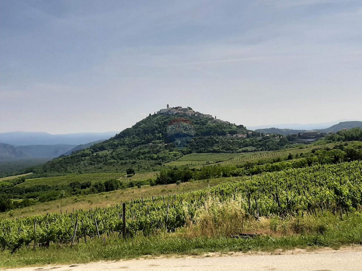 MOTOVUN